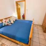 Poggio Al Pino
