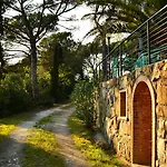 Poggio Al Pino *
