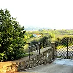 Poggio Al Pino *