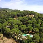 Poggio Al Pino *