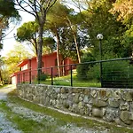 Poggio Al Pino *