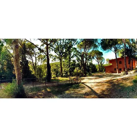 Poggio Al Pino Holiday home *