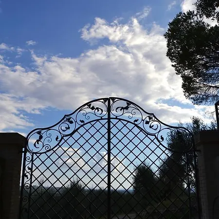 Poggio Al Pino Holiday home