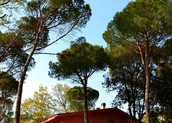 Poggio Al Pino * Montelupo Fiorentino