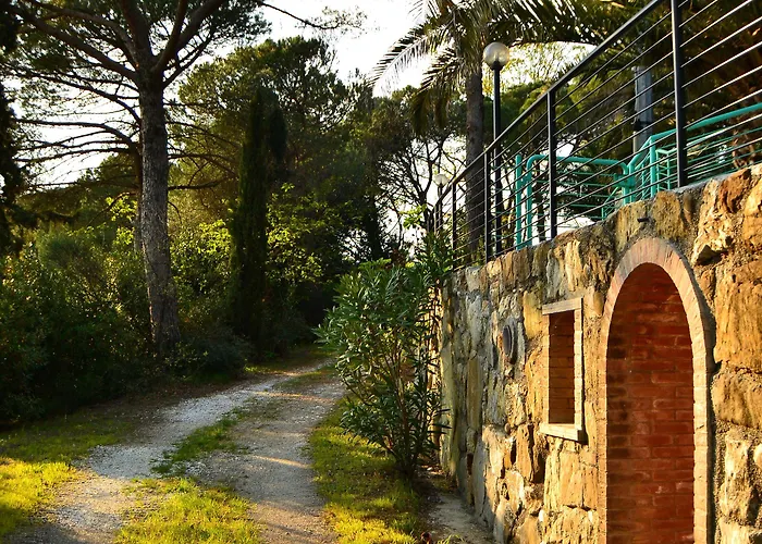 Poggio Al Pino *